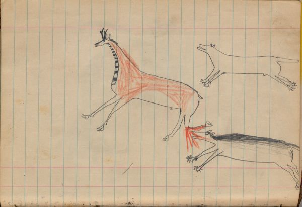 Wolves Hunting an Antelope