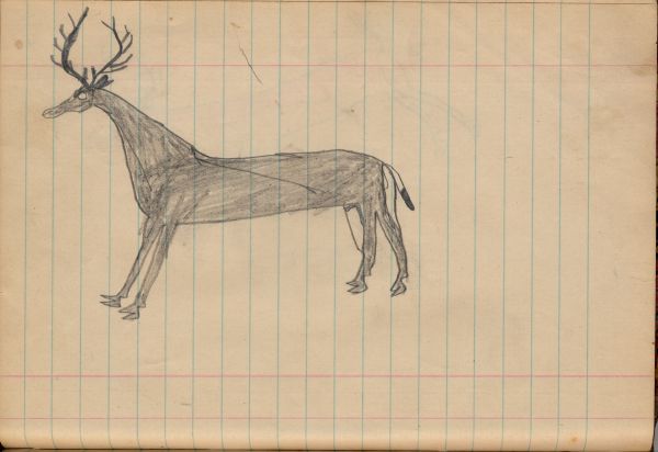 A Male Deer Buck
