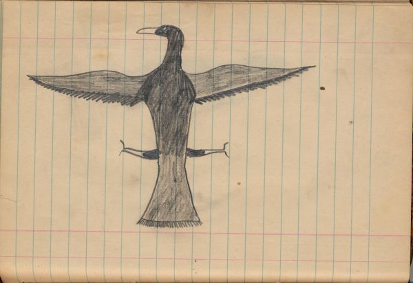 Bird with Black Wings and Tail 