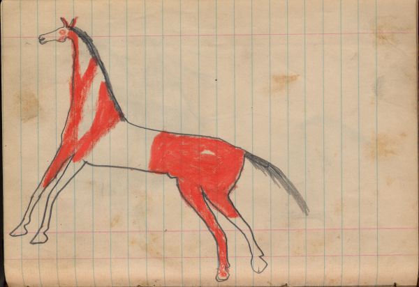 A horse with markings 