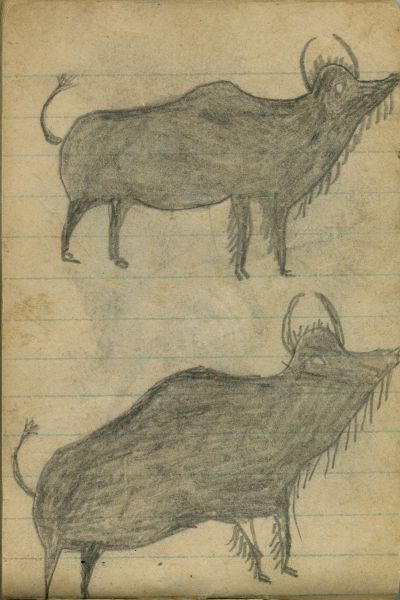 ANIMALS: Two Buffalo  