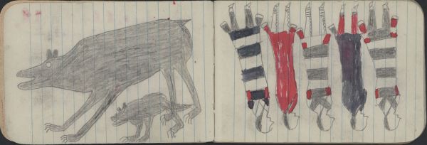 ANIMALS, BEAR: Female and Cub; GROUP, WOMEN: Women Wear 1 Red, 1 Black and 3 3rd Phase Chief's Blankets