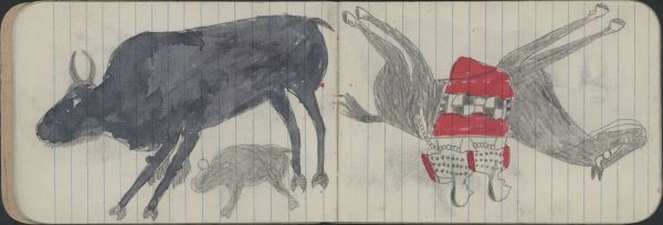 ANIMALS, BUFFALO: Female Buffalo and Calf; COURTING:2 Women in Elk Teeth Dresses Ride Dark Horse