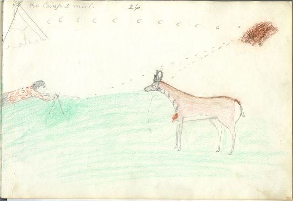 Pronghorn antelope hunt