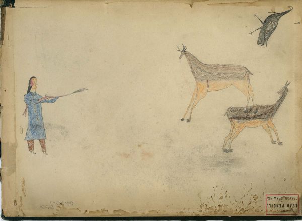 Man shooting at 2 deer with wild turkey