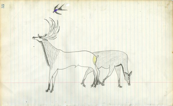 Male and female elk with thunderbird above
