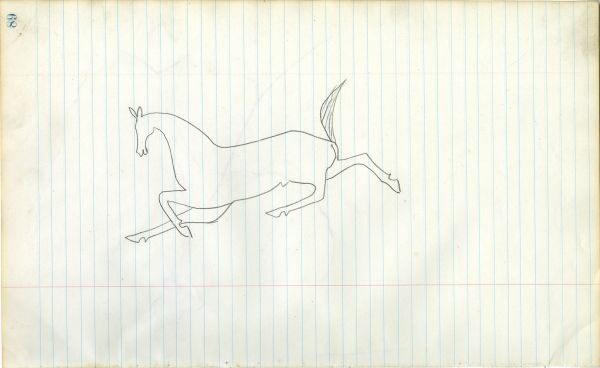 Outline of a horse 