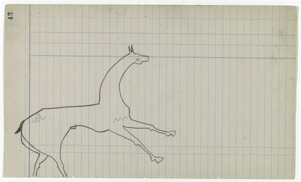 Horse #8 with markings (Arapaho)