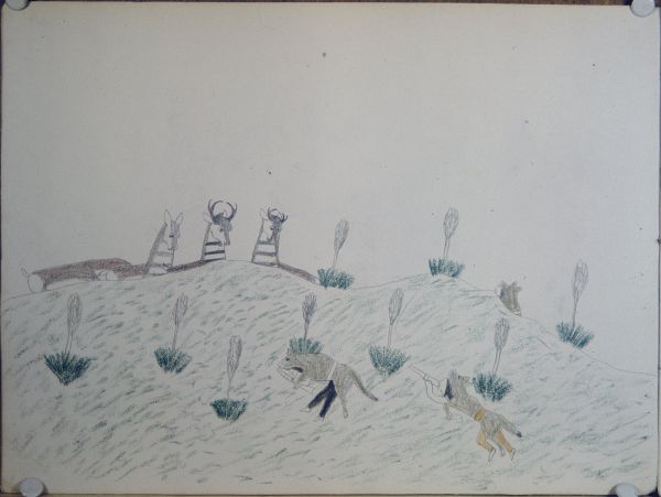 Pronghorn Antelope Hunt