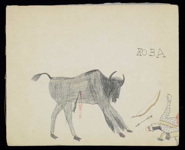 Alternate Plate Image