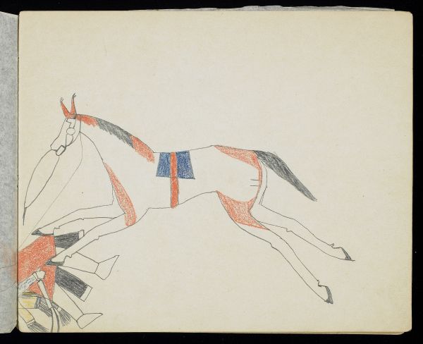 Alternate Plate Image