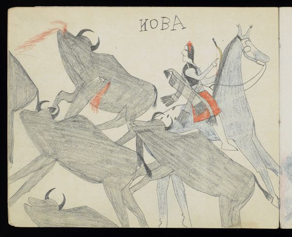 Alternate Plate Image