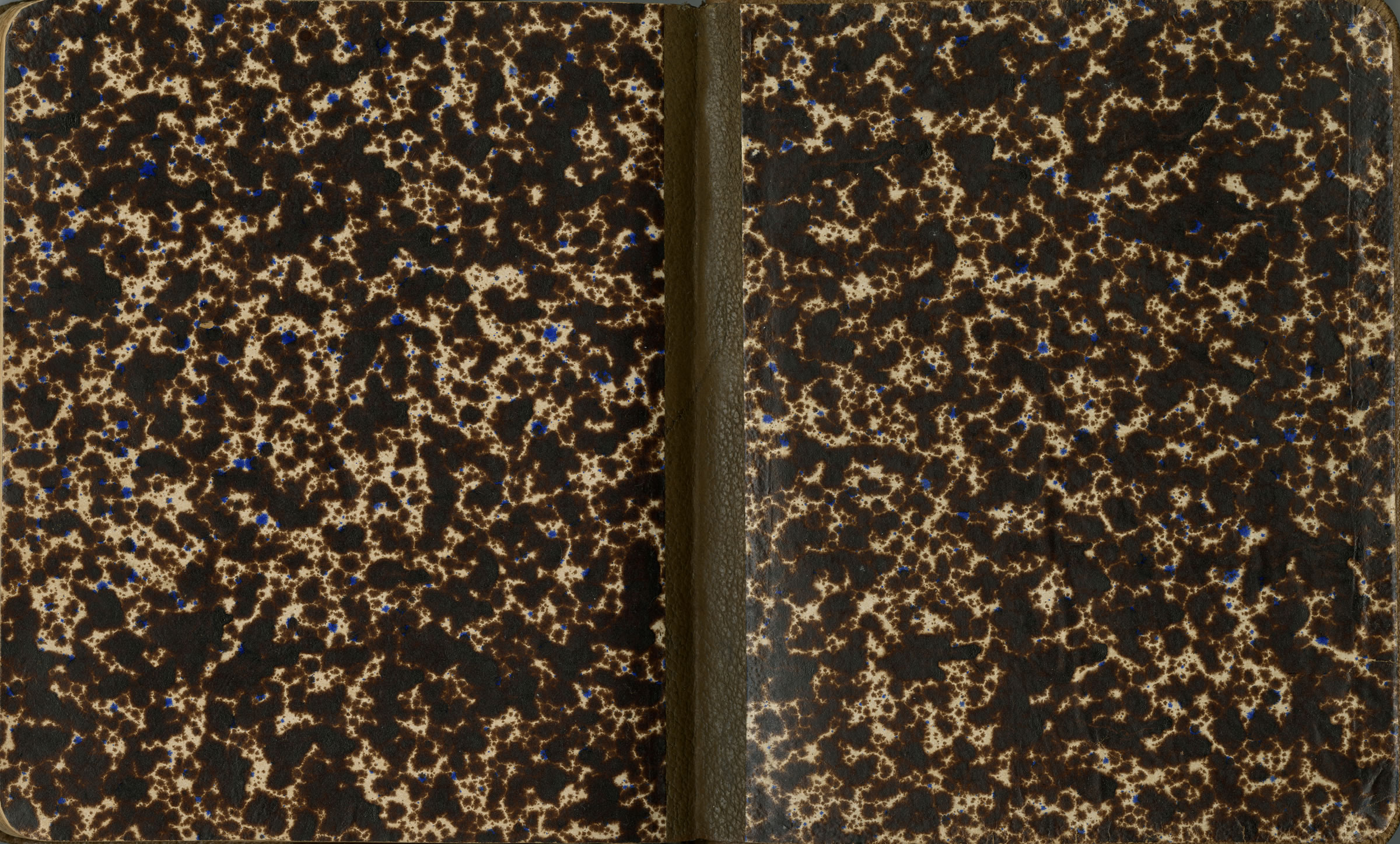 Fales-Freeman Brulé Ledger: Plate 24 Back inside cover and flyleaf